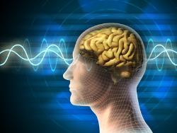tDCS Bild 1 tDCS Bild 1